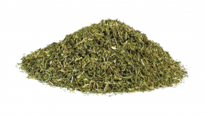 Dill Weed.jpg